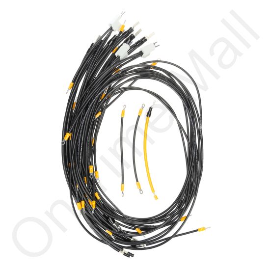 Carel 10C731A070 Wire Harness