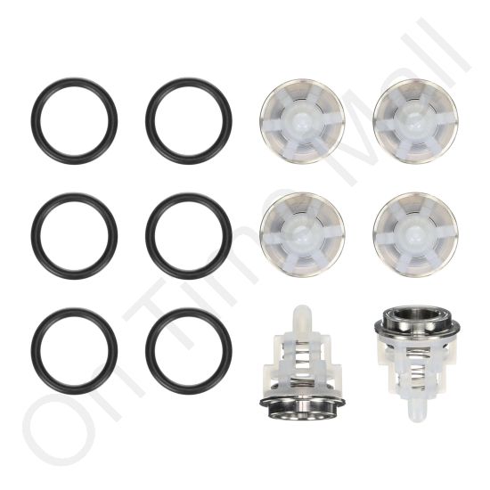 Carel 1309612AXX Valve Kit 192 F Interpump Series 63 Stain. Steel