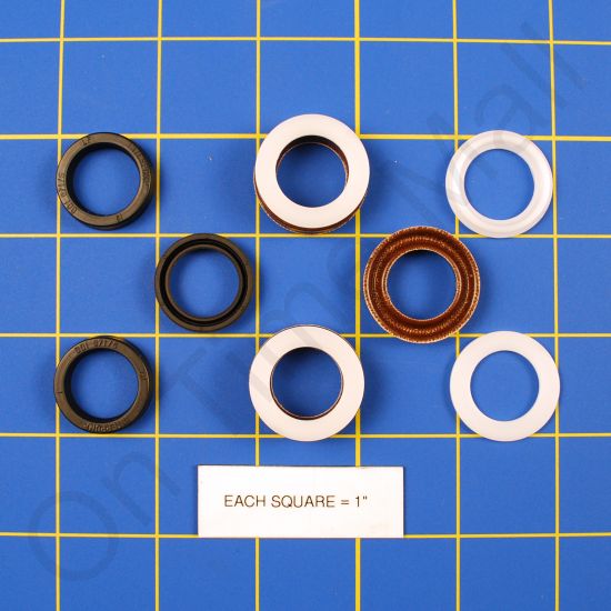 Carel 1309614AXX Seal Kit 161 F Interpump Series 63 - 18mm Brass pump