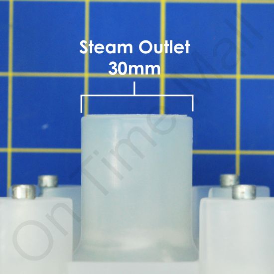 Carel E401T/I000 Steam Cylinder