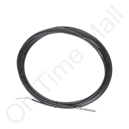 Carel NTC060WG00 NTC Probe