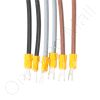 Carel 10C615A025USP Power Wires Kit