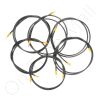 Carel 10C731A070 Wire Harness