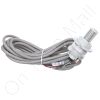 Carel DPRS710000 Probe