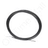 Carel NTC060WF00 NTC Sensor