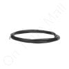 Carel NTC060WF00 NTC Sensor