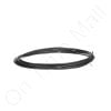 Carel NTC060WF00 NTC Sensor