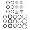 Carel UAKVGX1800 Valve And Seal Kit
