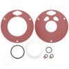 Carel UGKGUAG045SP Gas Gasket Kit